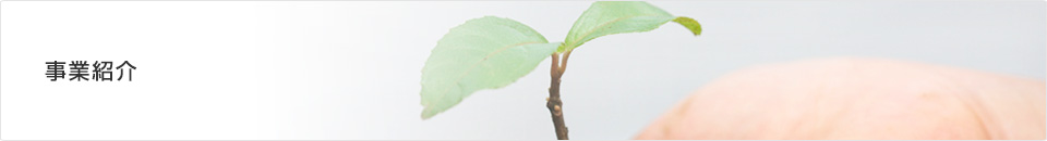 事業紹介